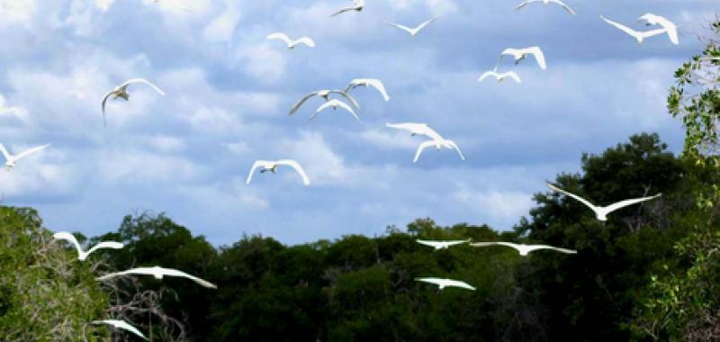 Rio Champoton